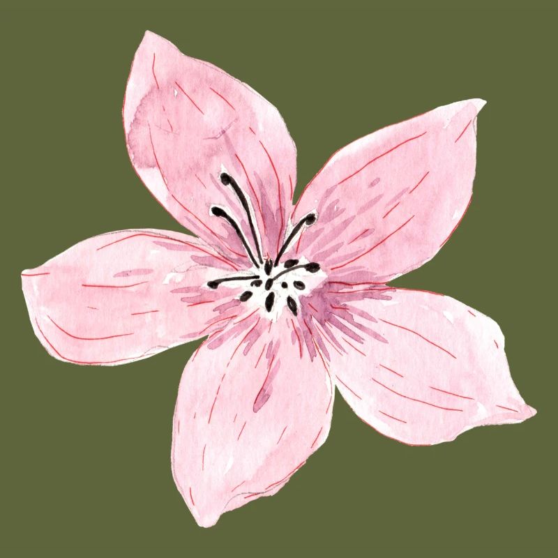 blossom