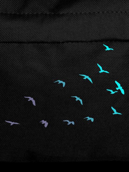 Bird migration