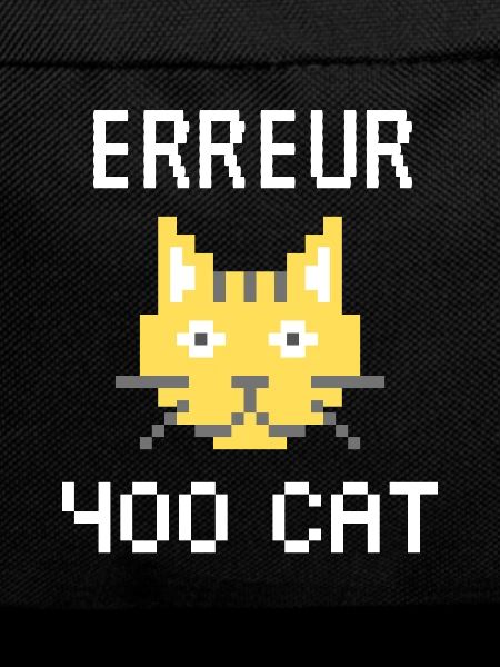 erreur 400 cat