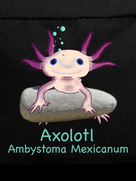 Iconic Axolotl Chilling, Hand Drawn