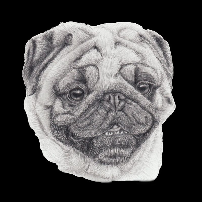 Mops Mops 2