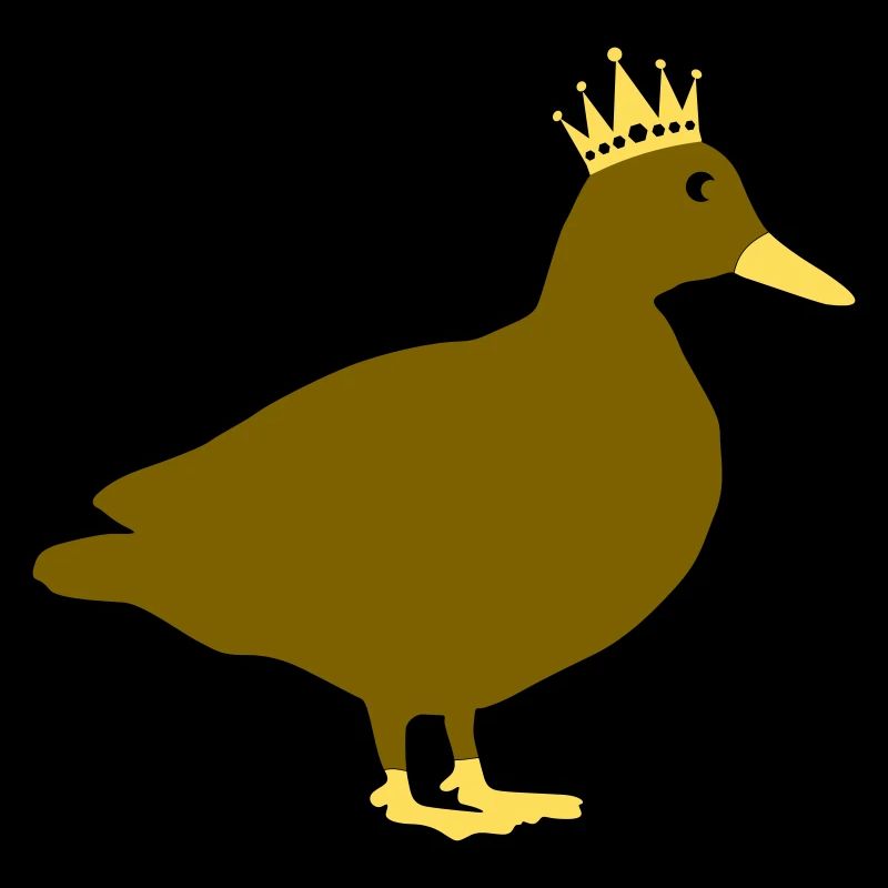Canard Roi Comique