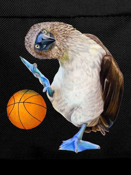 Blue-footed boobies basketball