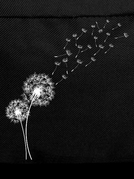 Löwenzahn Löwenzahnblüten im Flug