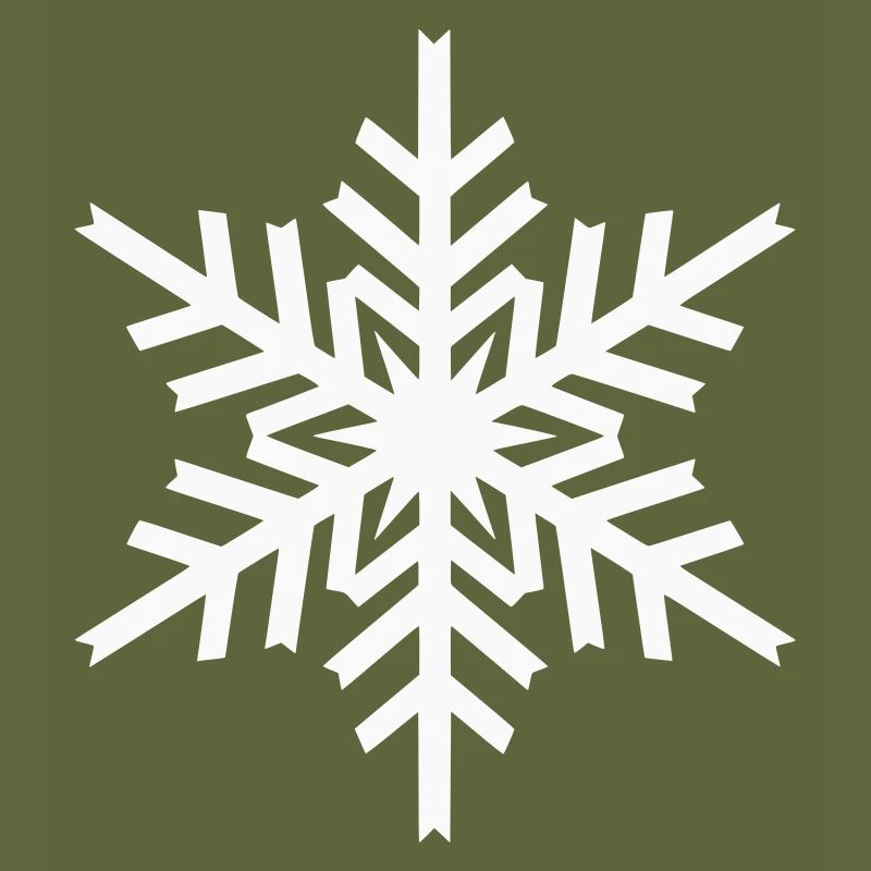 Geometric Snowflake