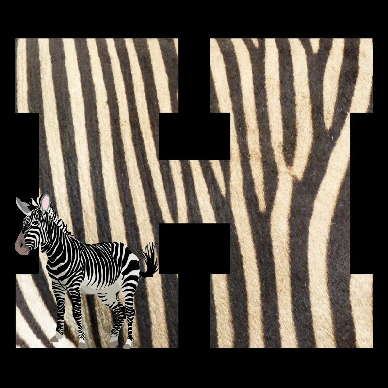 zebra h