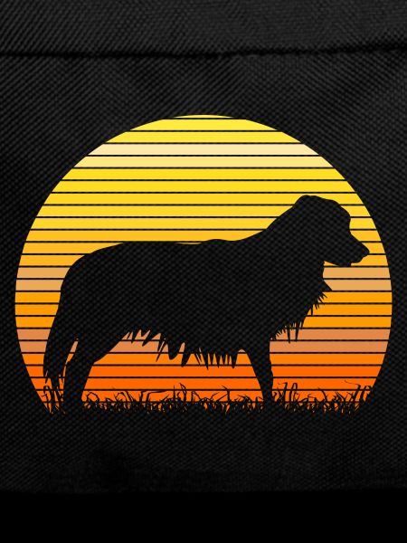 Kooikerhondje Kooiker sunrise silhouette
