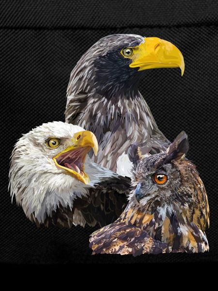 Pigargos and Owl