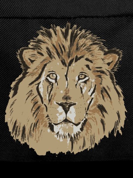 Lion's Head