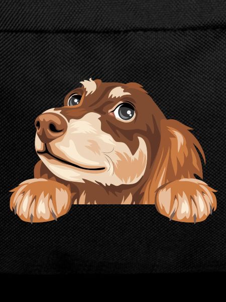 Dreaming peeking dachshund