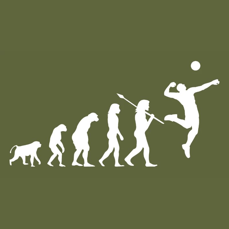 Volleyball Evolution