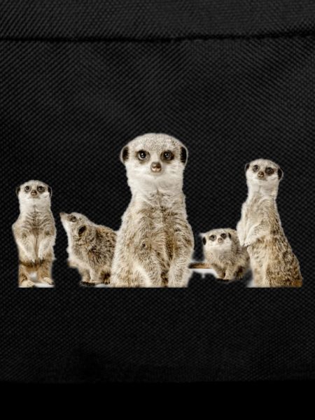 Erdmännchen