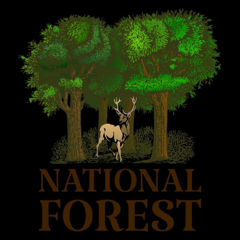 National Forest