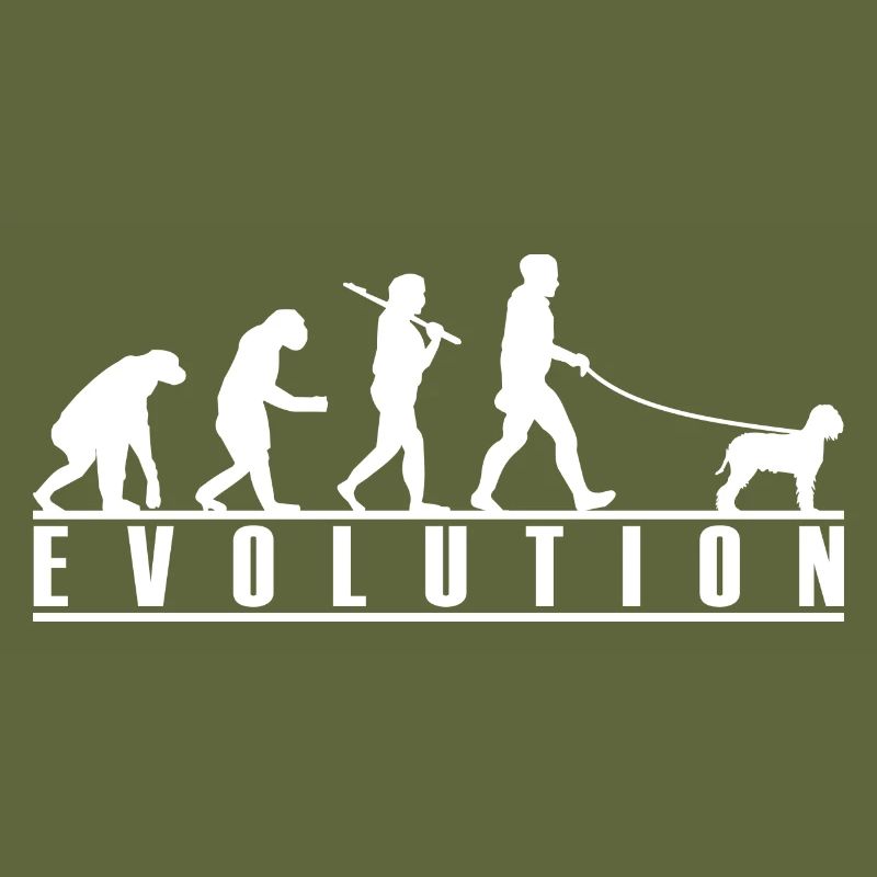 Lagotto Romagnolo Evolution