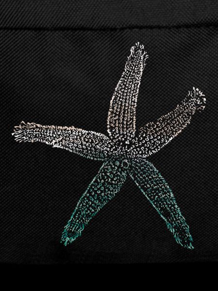 starfish