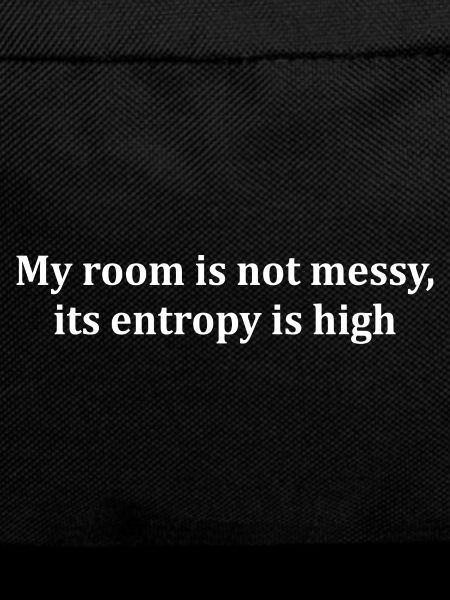 entropy saying thermodynamics physicist engineer