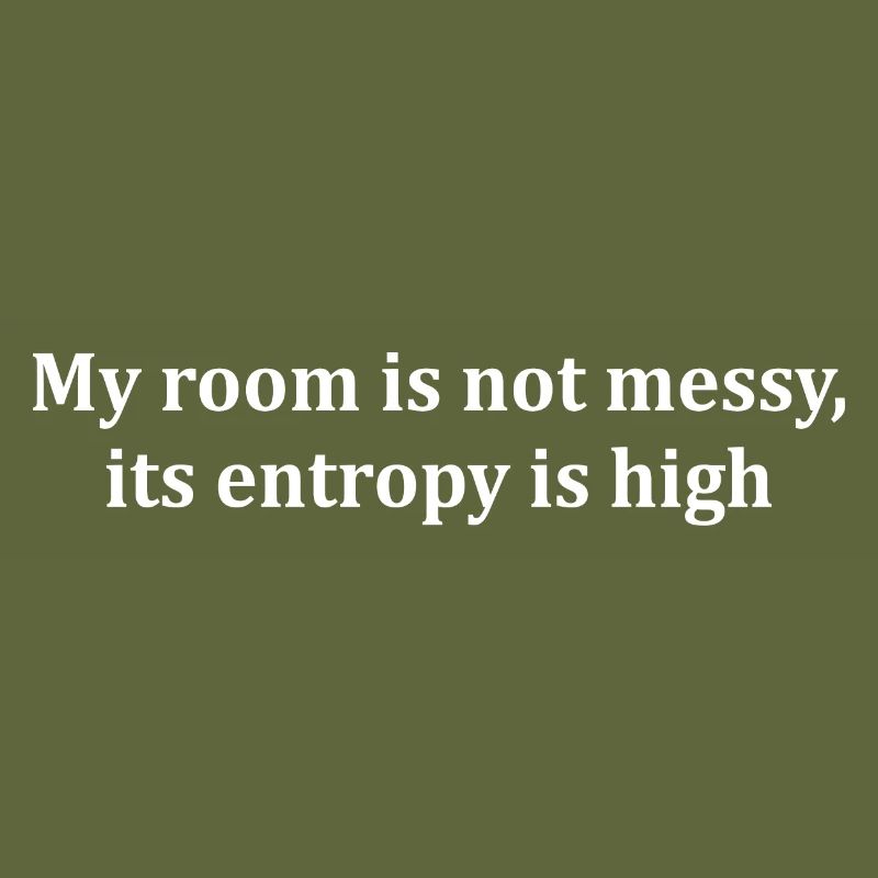 entropy saying thermodynamics physicist engineer