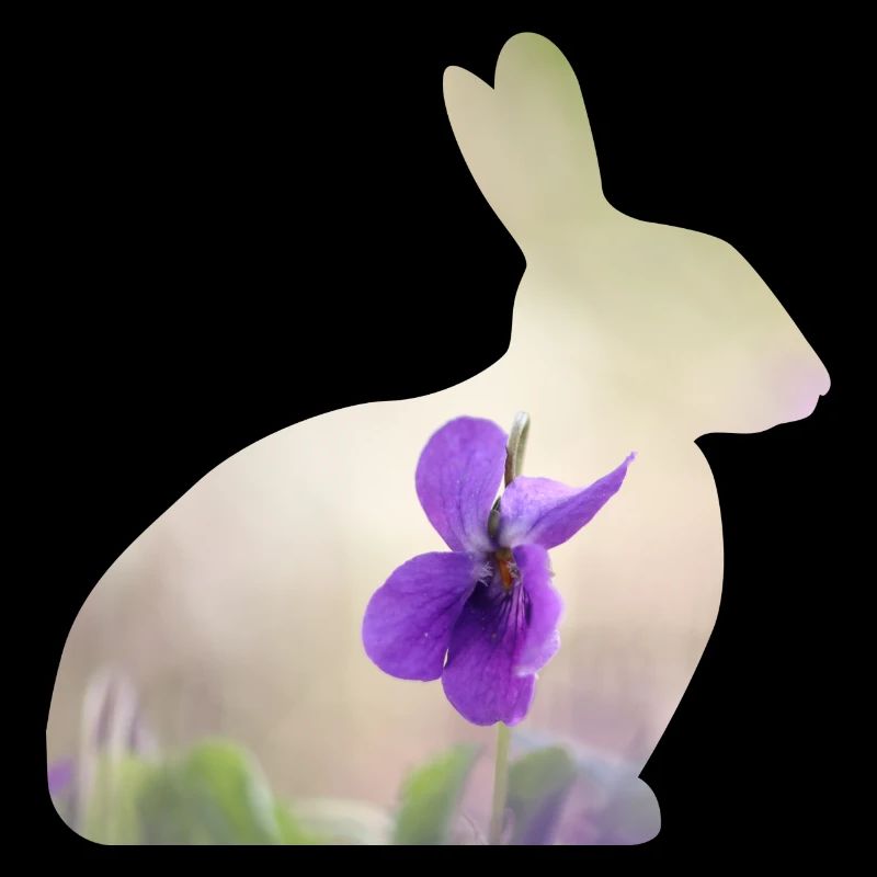 Rabbit Rabbit