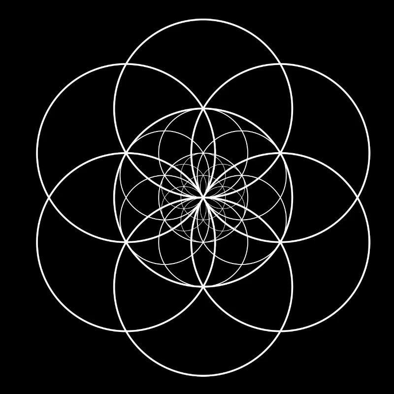 Semence de Vie Transcendantale
