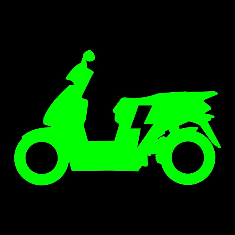 Elektro Motorroller Elektroroller für Rollerfahrer