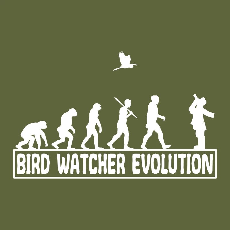 Ornithologie Oiseaux chanteurs observer évolution