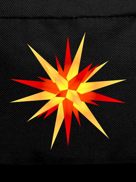 poinsettia yellow-red 1