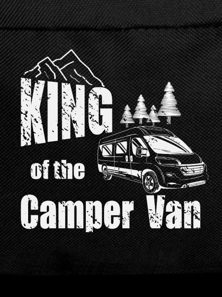 King of the Camper Van