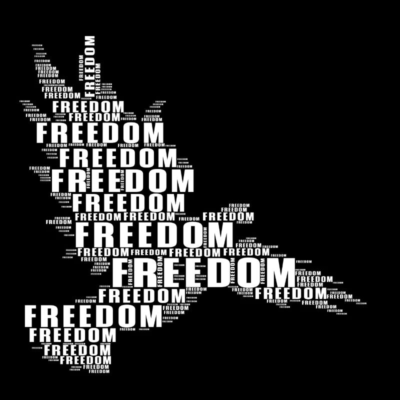 Freedom Peace Peace Eagle Falcon T-Shirt