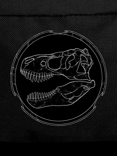 Tyrannosaurus Rex Fossil