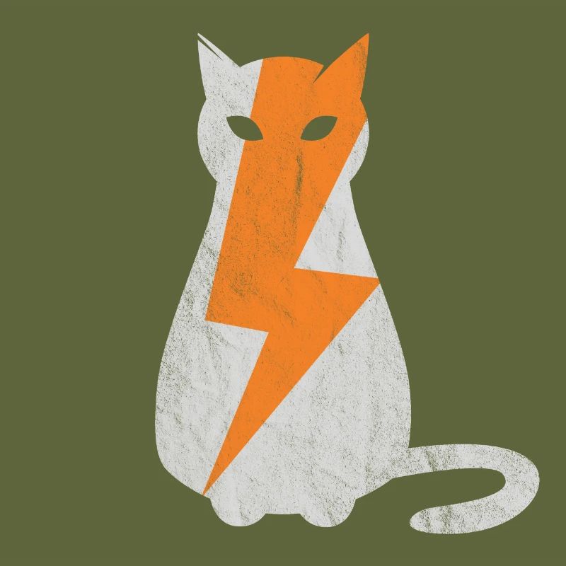 Cat lightning strike