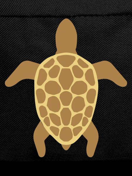 sea turtle