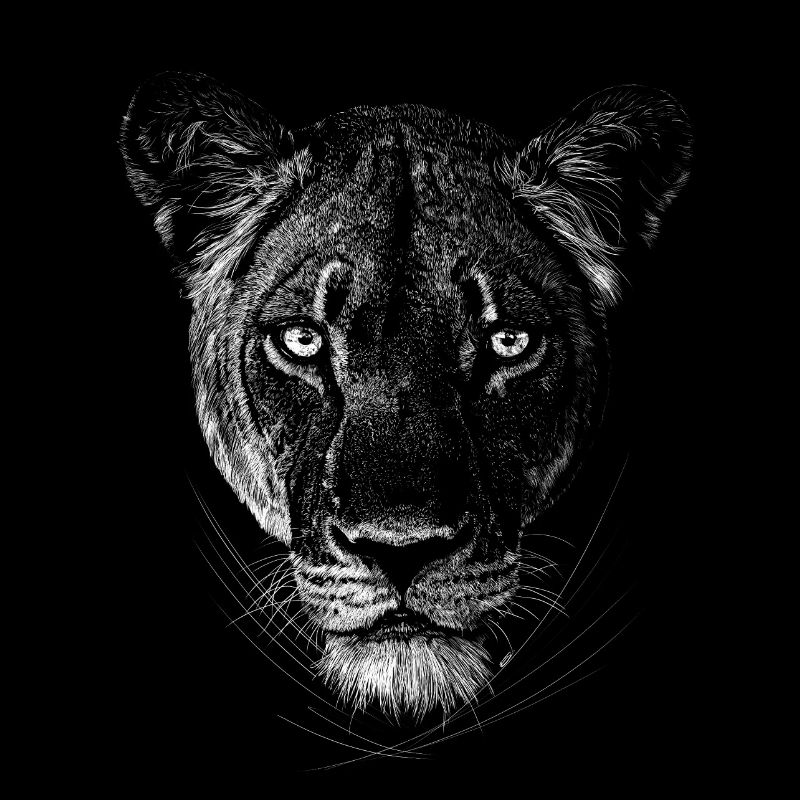 Lioness