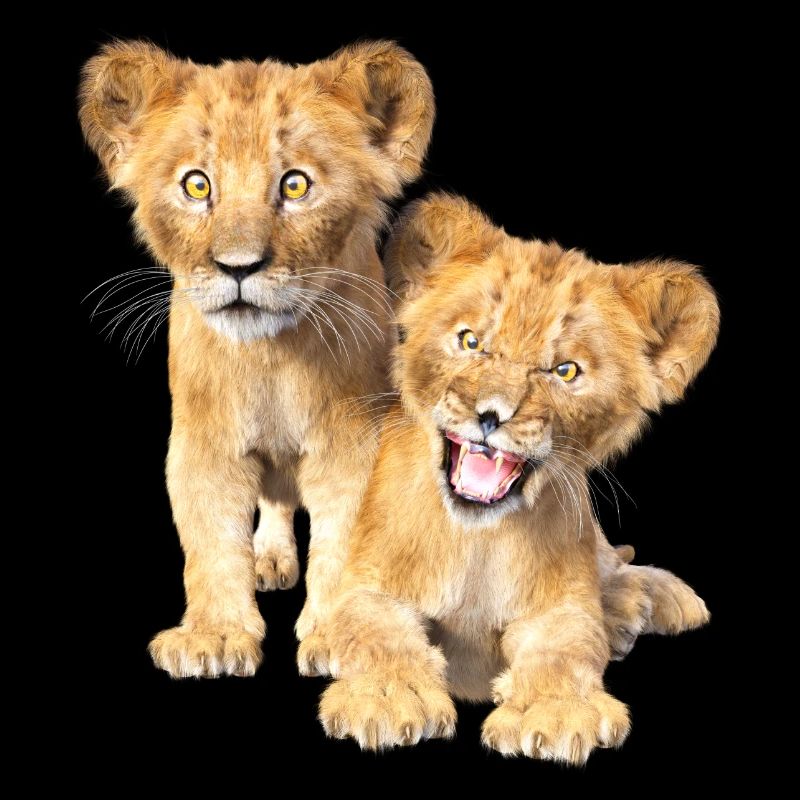 Lion