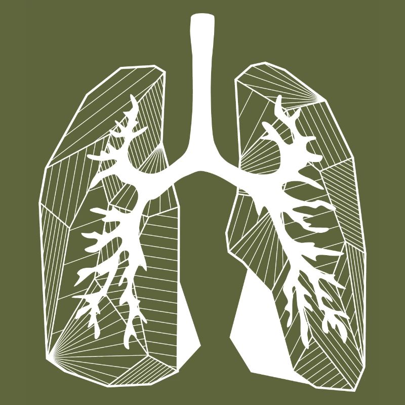 Lungs