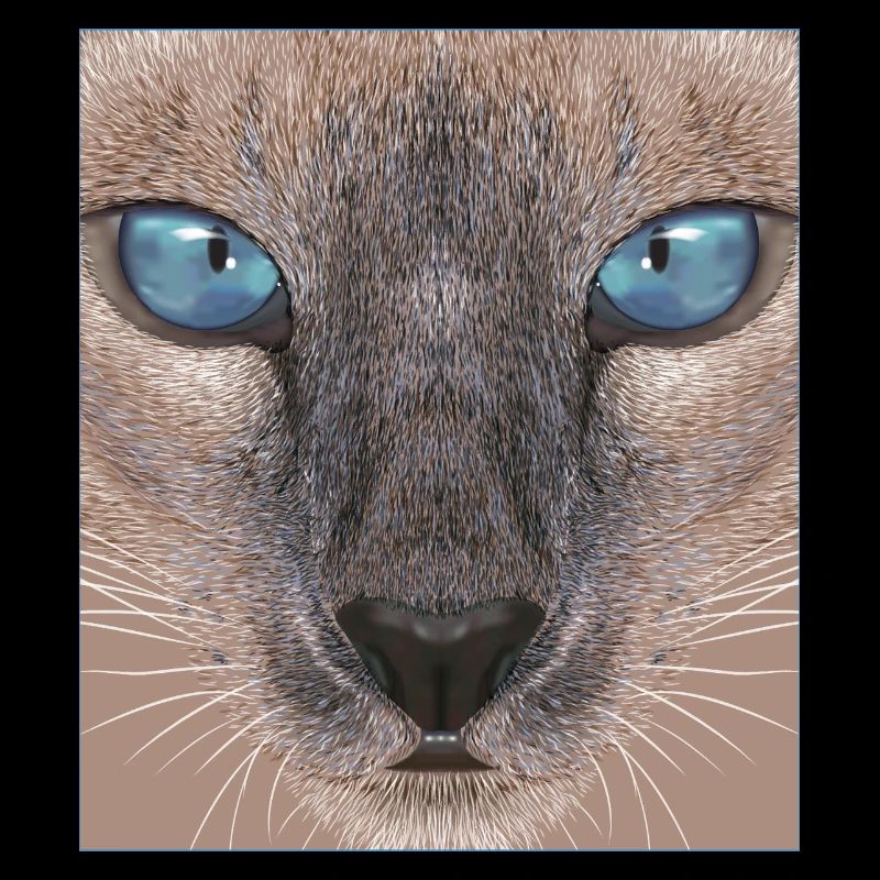 Chat siamois