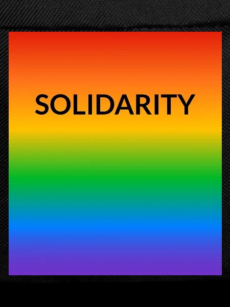 Solidarity Rainbow LGBT Ally Pride allyship