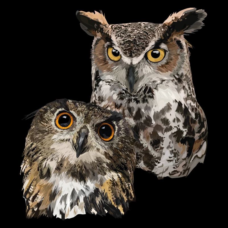 Owls