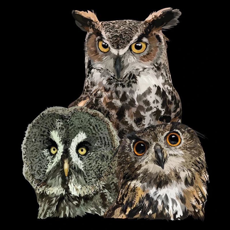 Owls