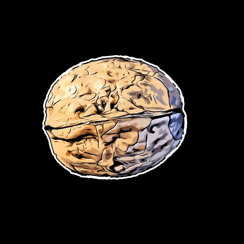 Walnut