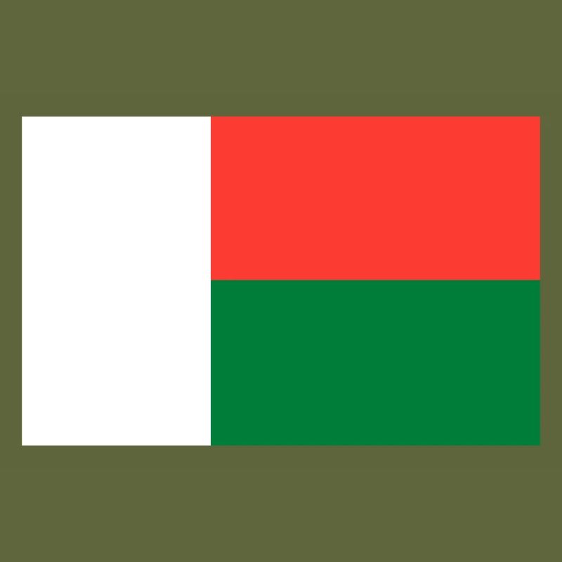 Madagascar flag