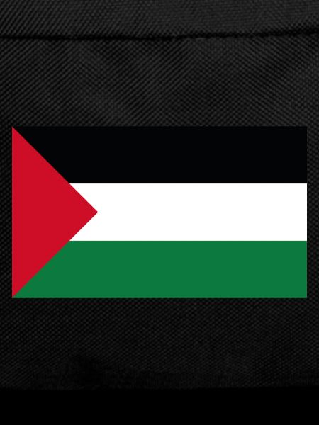 Palestine Flag