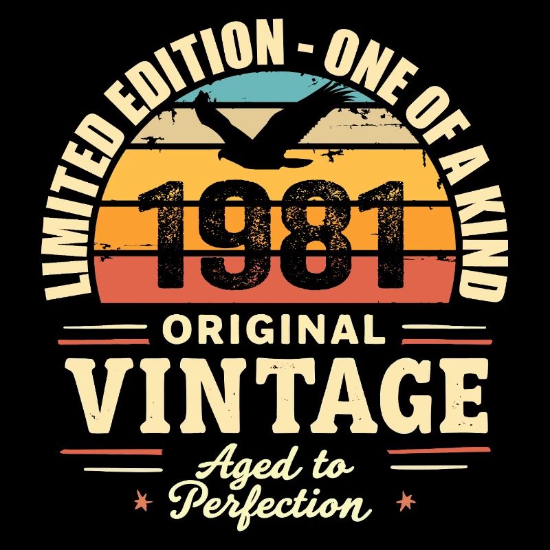 Birthday Gift 1981 Vintage 1981 Retro 1981