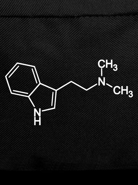 DMT molecule N, N-Dimethyltryptamine