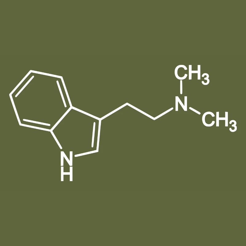 DMT Molekül N,N-Dimethyltryptamin