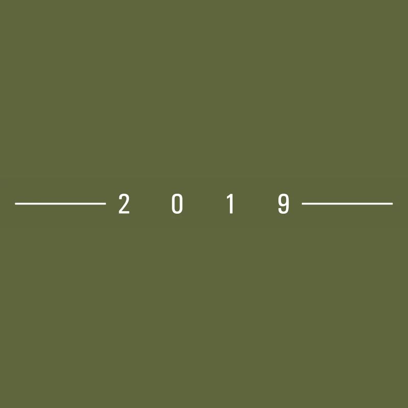2019 strich