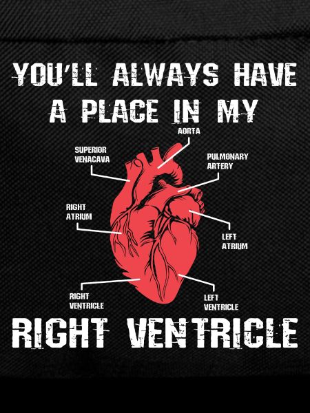 Heart anatomy