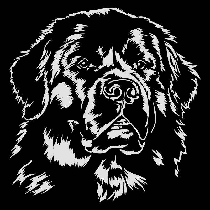 Newfoundland Newfoundland Wilsigns dog dog