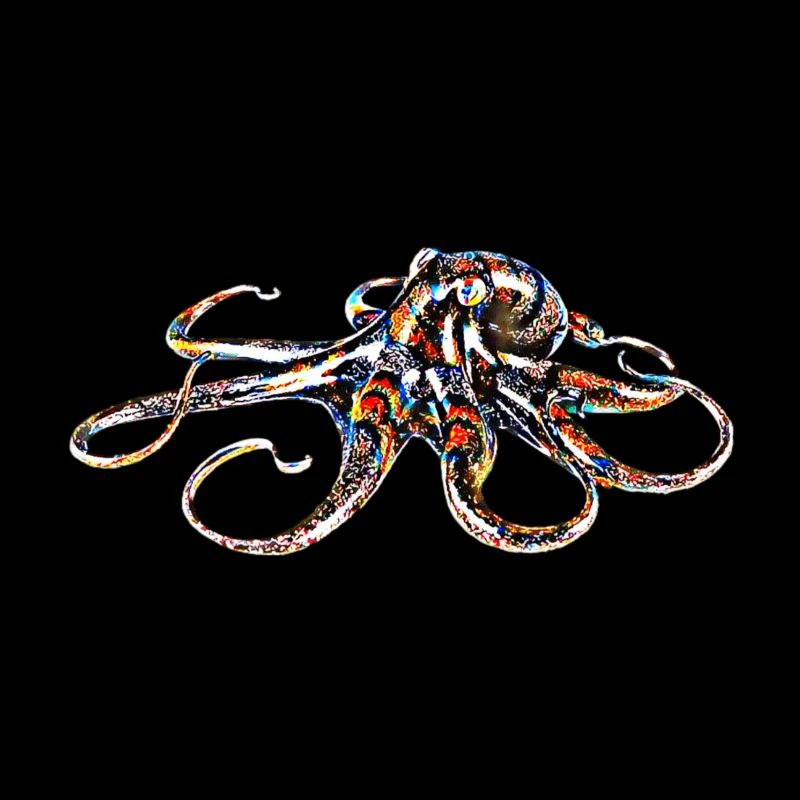 Octopus