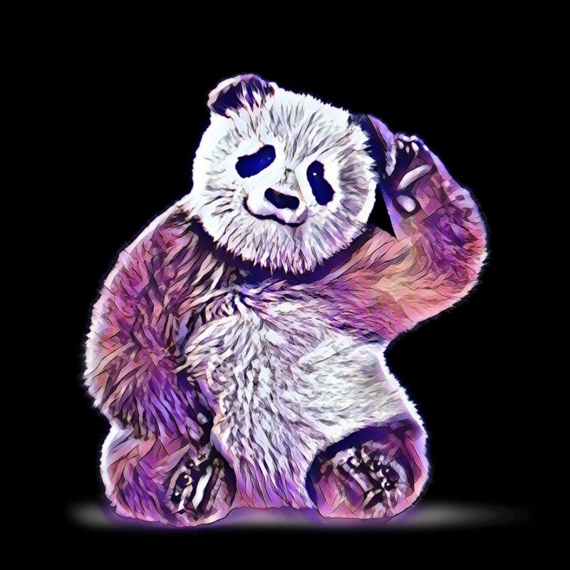 panda