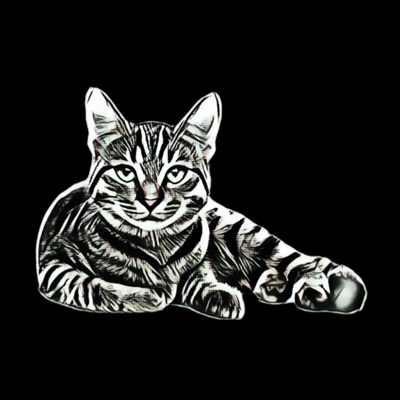 Chat